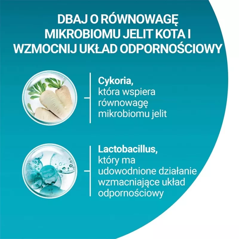PURINA One Bifensis Senior 7+ - sausā kaķu barība - 800 g