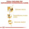 Sausā suņu barība Royal Canin Cavalier King Charles Adult 1.5 kg — Vistas gaļa, mazās šķirnes, āda un apmatojums, sirds atbalsts