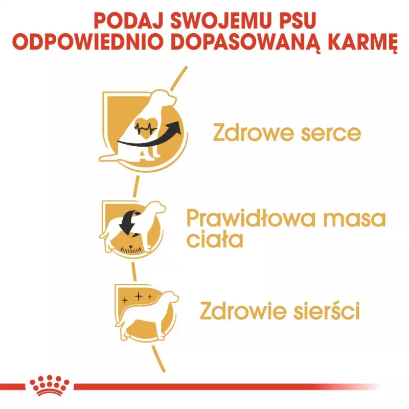 Sausā suņu barība Royal Canin Cavalier King Charles Adult 1.5 kg — Vistas gaļa, mazās šķirnes, āda un apmatojums, sirds atbalsts