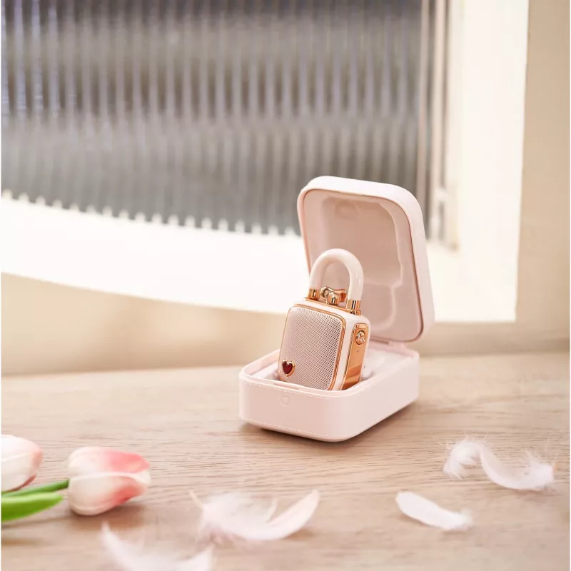 Mono Portable Speaker Divoom LoveLock rozā