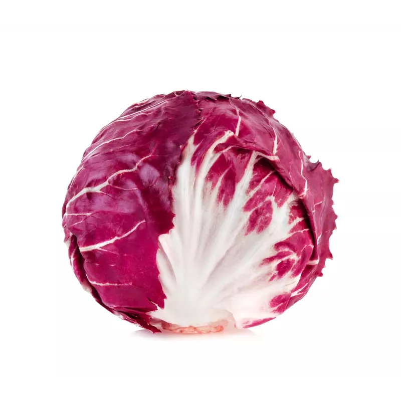 Lettuce Chicory Palla Rossa 3 Toraf dārzeņu sēklas, 5g iepakojums