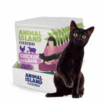 ANIMAL ISLAND Vistas filejas ar jēru buljonā - mitrā kaķu barība - 12x85g