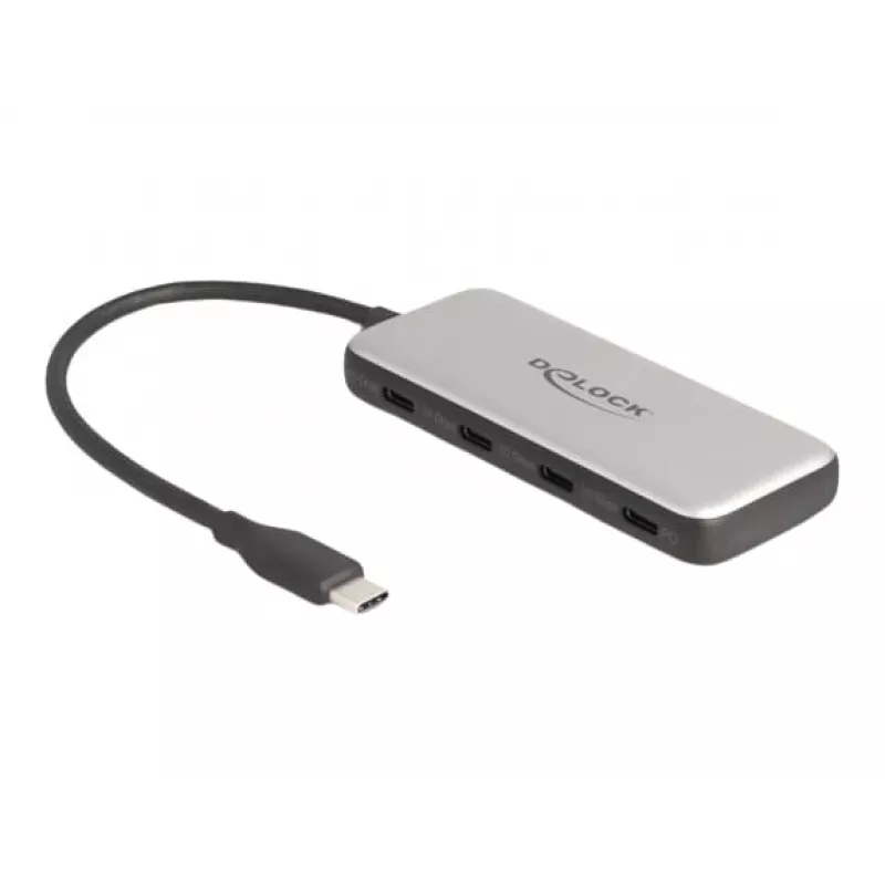 DeLOCK 64261 USB 3.2 Gen 1 Type-C centrmezgls 10000 Mbit/s Melns Pelēks