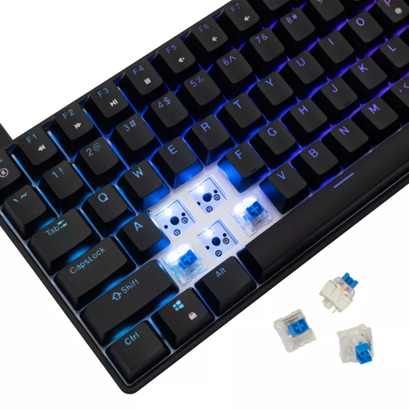 Mehāniskā tastatūra White Shark GK-005121 ar RGB apgaismojumu un Blue slēdžiem