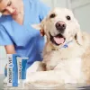 Brūču želeja JM Sante Polisept Vet 30 ml suņiem un kaķiem, tūbiņa 30 ml, 50 g