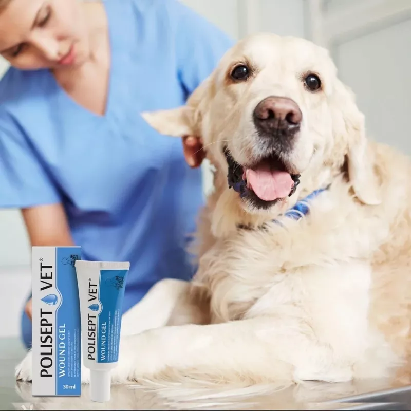 Brūču želeja JM Sante Polisept Vet 30 ml suņiem un kaķiem, tūbiņa 30 ml, 50 g