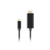 LANBERG CA-CMDP-10CU-0030-BK video kabeļa adapteris, 3 m, USB Type-C uz DisplayPort, 4K@60Hz/144Hz atbalsts
