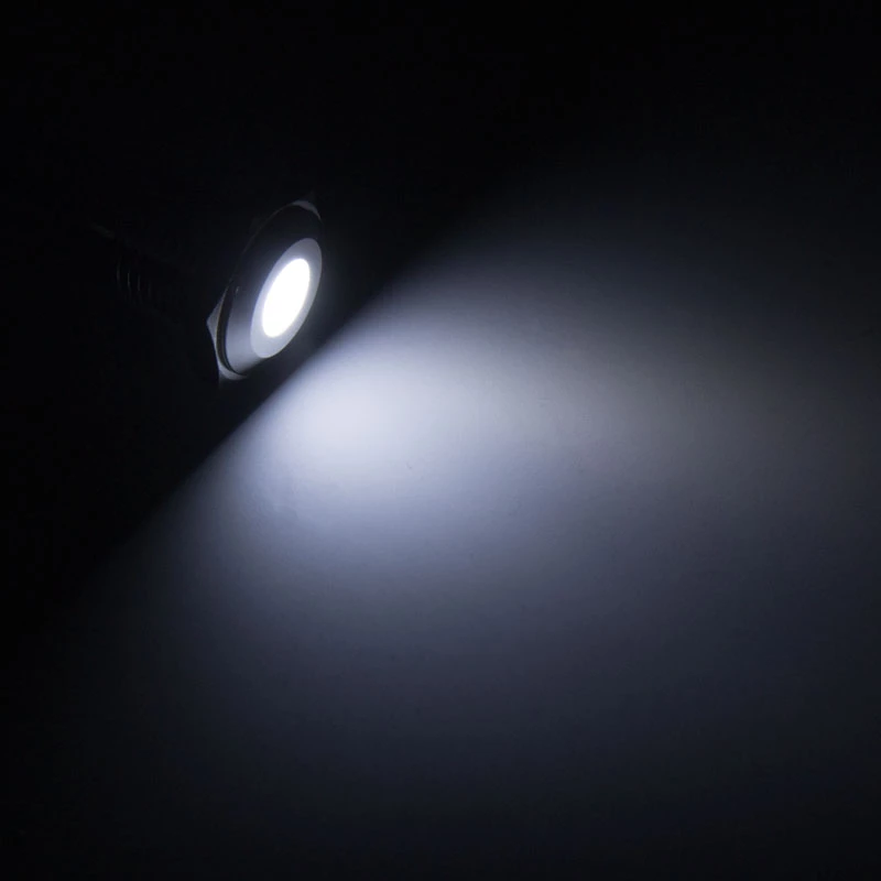Apgaismota vandalizturīga spiedpoga Lamptron LAMP-SW2004-H, melna polikarbonāta korpuss, balts punkts