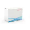 Xerox Transfer Roller, WorkCentre 7525/7530/7535/7545/7556, 1 gab.