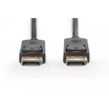 Savienojuma kabelis DisplayPort ar fiksatoriem 1080p 60Hz FHD Tips DP / DP M / M melns 1m