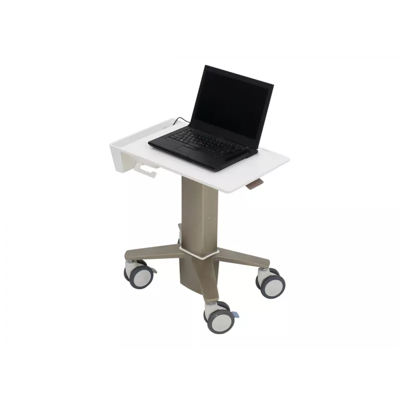 Klēpjdatora statīvs Ergotron C50-1100-0 Pelēks 39.6 cm