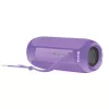 Pārnēsājamais skaļrunis Denver BTS-110NRBPUN violets
