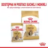 ROYAL CANIN Shih Tzu Adult mitrā suņu barība Pâté 12x85 g