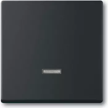 Busch Jaeger 2CKA006599A2968 Elektroantrieb IP20 Melns (2CKA006599A2968)