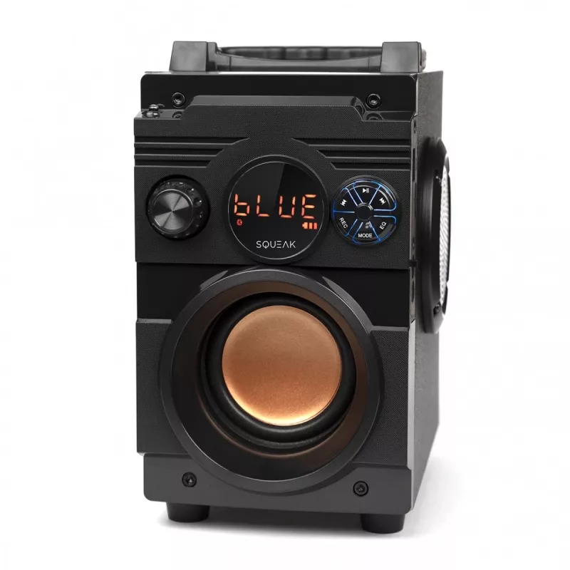 Squeak Bassblaster Bluetooth 5.1 skaļrunis, FM radio, MP3 atskaņotājs SQ1001