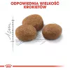 ROYAL CANIN Sterilised 7+ - sausā barība kaķiem - 10 kg