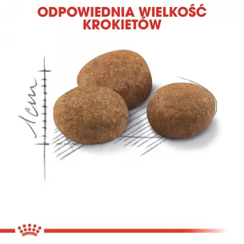 ROYAL CANIN Sterilised 7+ - sausā barība kaķiem - 10 kg