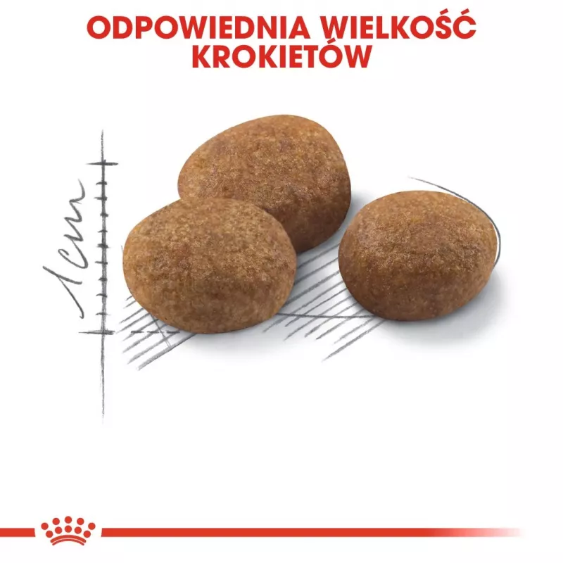 ROYAL CANIN Sterilised 7+ - sausā barība kaķiem - 10 kg