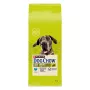 Purina DOG CHOW lielo šķirņu pieaugušiem suņiem 14 kg Turcija