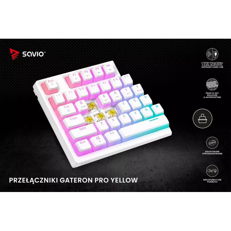 MEHĀNISKĀ TASTATŪRA SAVIO