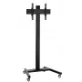 Wall mount Vogel's T 2064B mobile display bracket for plakans screens (model 7953600)
