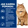 HILL'S PD K/D Kidney + Mobility Chicken - sausā kaķu barība - 3kg