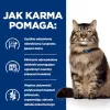 HILL'S PD Gastrointestinal Biome - sausā kaķu barība - 1,5 kg