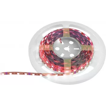 LED lente EUROLITE 50530136, 5 m, 5050 SMD RGB, 12 V