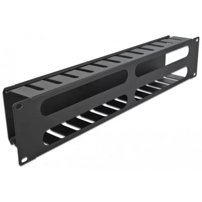 DeLOCK - Kabelführungsplatte für Schaltschrank - Schwarz - 2U - 48,3 cm (19) (66553)