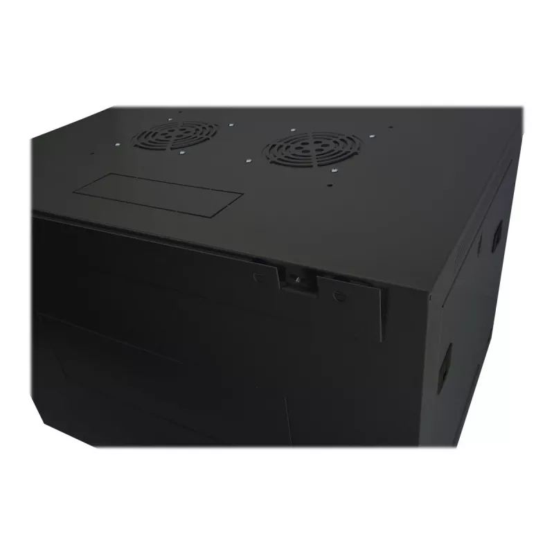 DIGITUS Dynamic Basic DN-19 16-U-EC-SW - skapis - tīkla skapis - piemērots montāžai pie sienas - RAL 9005 - 16U - 48.3 cm (19 inch)