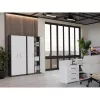 OLIV 2D CLOSED SHELVING UNIT, ANTHRACITE/Balts SET