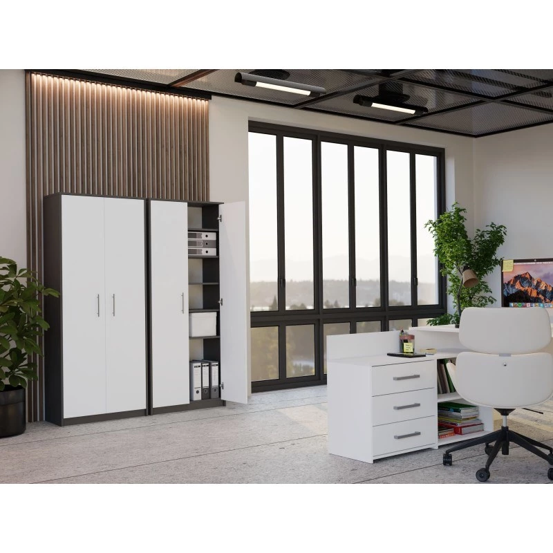OLIV 2D CLOSED SHELVING UNIT, ANTHRACITE/Balts SET