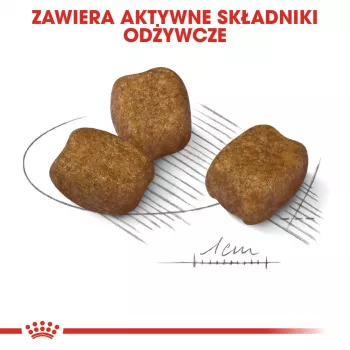 Sausā suņu barība Royal Canin Mini Dental Care 3 kg — pieaugušiem mazo šķirņu suņiem, mājputnu garša, zobu kopšana