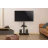 Gembird TVS-75S-02 televizora grīdas statīvs ar ritenīšiem, 37–75 inch, melns