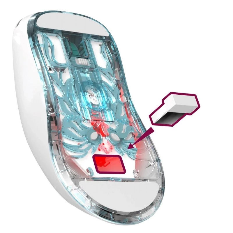 BEZVADU PELE DEFENDER FAME GM-516 RF+BT 10000DPI 6P BALTA
