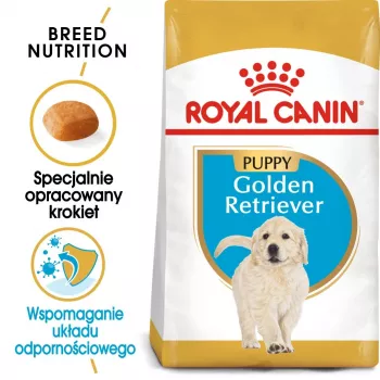 Sausā suņu barība Royal Canin Golden Retriever Junior 12 kg — mājputnu gaļa, 29% olbaltumvielu, 16% tauku