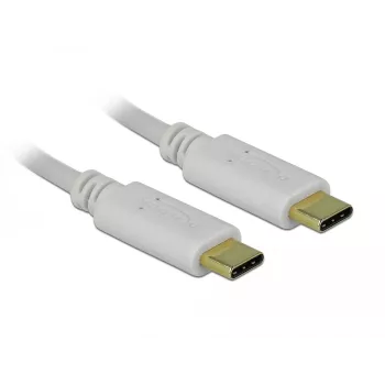 Delock - USB-C / barošanas kabelis - 24 kontaktu USB-C (M) uz 24 kontaktu USB-C (M) - 5 A - 15 cm - USB barošanas avots (100 W), atbalsta Power Delivery 2.0 - Balts (85357)