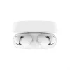 Belkin SoundForm Rhythm austiņas