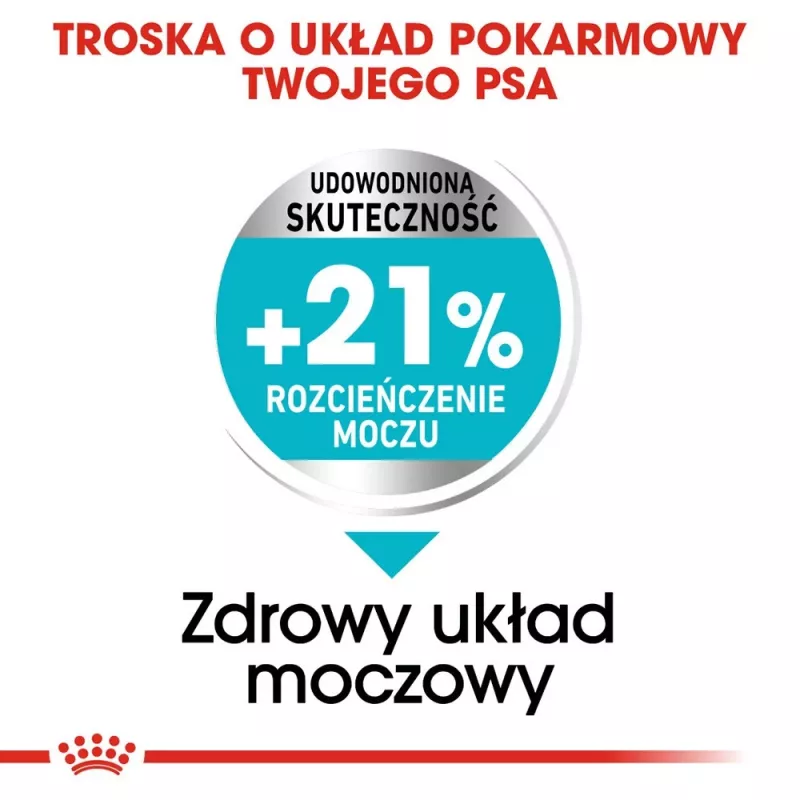 Royal Canin Mini Urinary Care CCN sausā barība suņiem, 3 kg