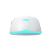 Baracuda BGM-122 Turtle balta TURTLE-W pele