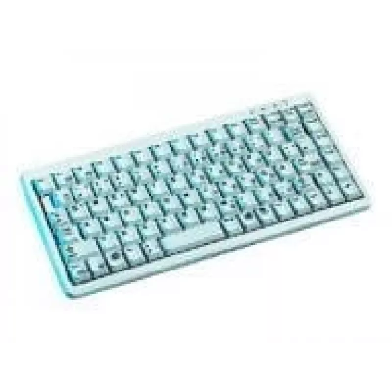 CHERRY Compact G84-4100, gaiši pelēka, CH klaviatūra USB + PS/2