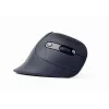 Gembird MUSW-ERGO-03 pele Mājas Labās rokas RF bezvadu Optiskā 1600 DPI