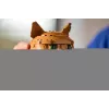 LEGO IDEAS 21376 oranža Cat
