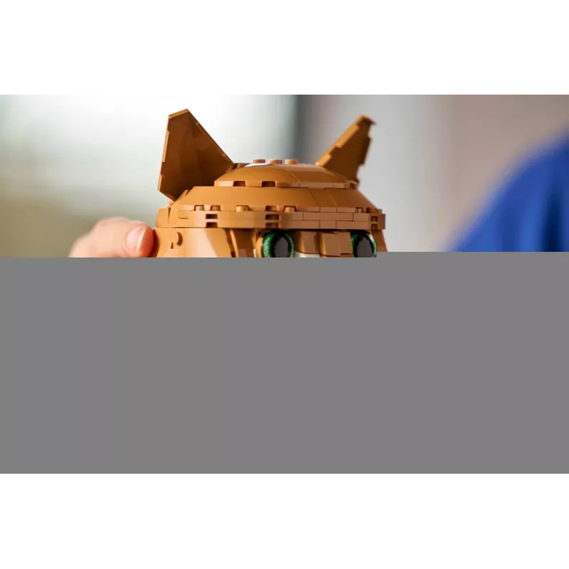 LEGO IDEAS 21376 oranža Cat