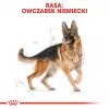 Sausā suņu barība Royal Canin German Shepherd Adult, 11 kg — liela šķirne, mājputnu gaļa, 24% olbaltumvielu, 19% tauku