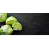 Dārza salātu 'Crisp Ice Lettuce Summer Toraf' sēklas, 1 g iepakojumā