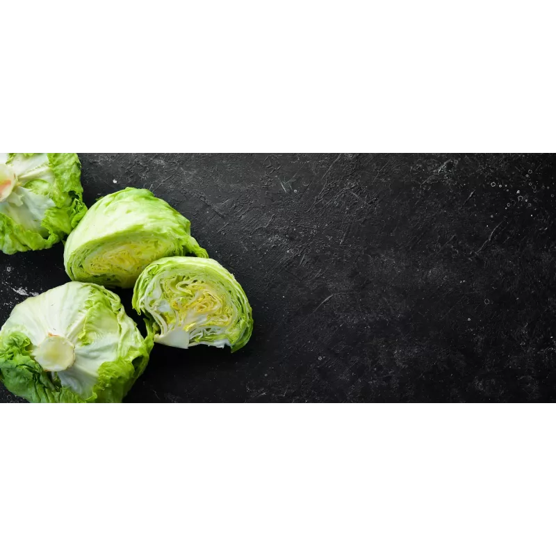 Dārza salātu 'Crisp Ice Lettuce Summer Toraf' sēklas, 1 g iepakojumā