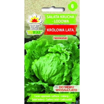 Dārza salātu 'Crisp Ice Lettuce Summer Toraf' sēklas, 1 g iepakojumā
