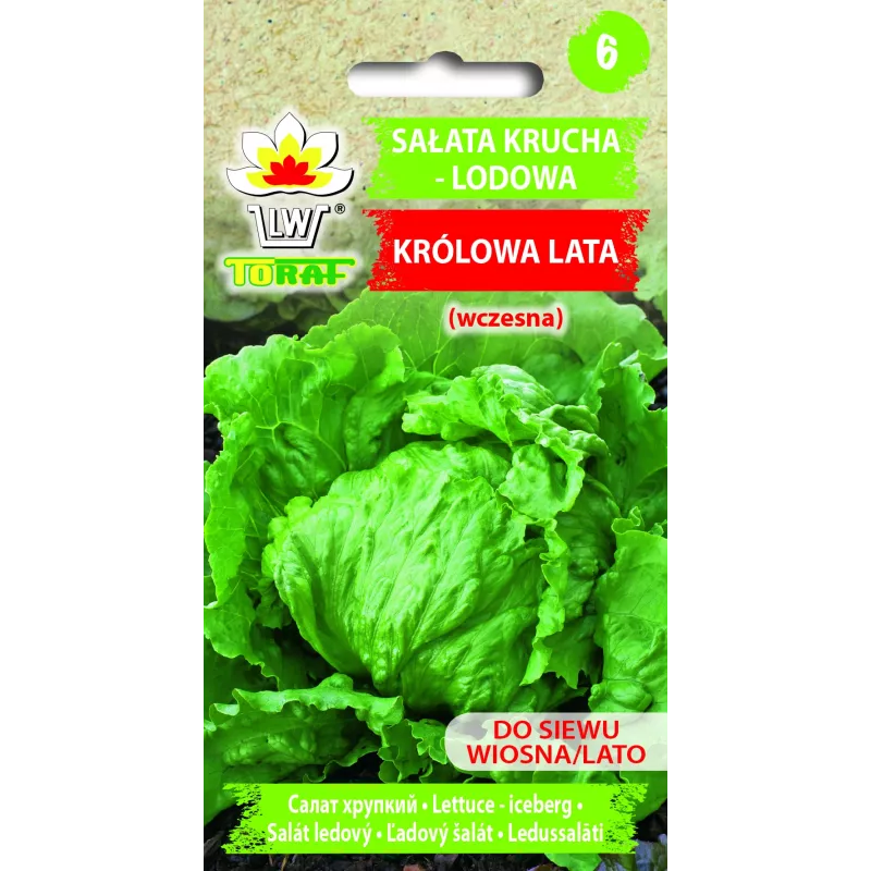 Dārza salātu 'Crisp Ice Lettuce Summer Toraf' sēklas, 1 g iepakojumā