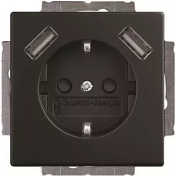 BJ 20 EUCB2USB-885 SCHUKO-/2x USB kontaktligzda (2CKA002011A6279)